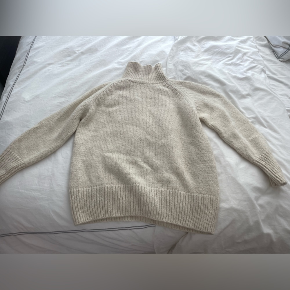 Aritzia turtle neck
